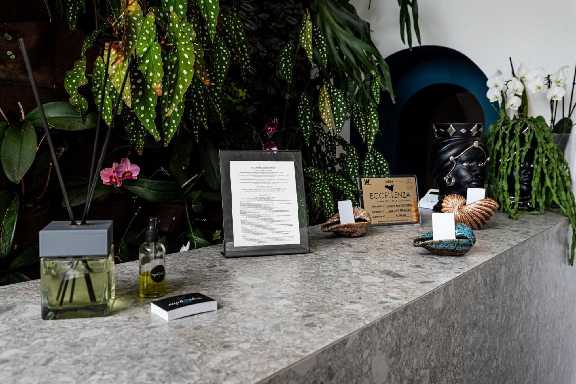 Luxury B&B Euphorbia Acireale Zewnętrze zdjęcie