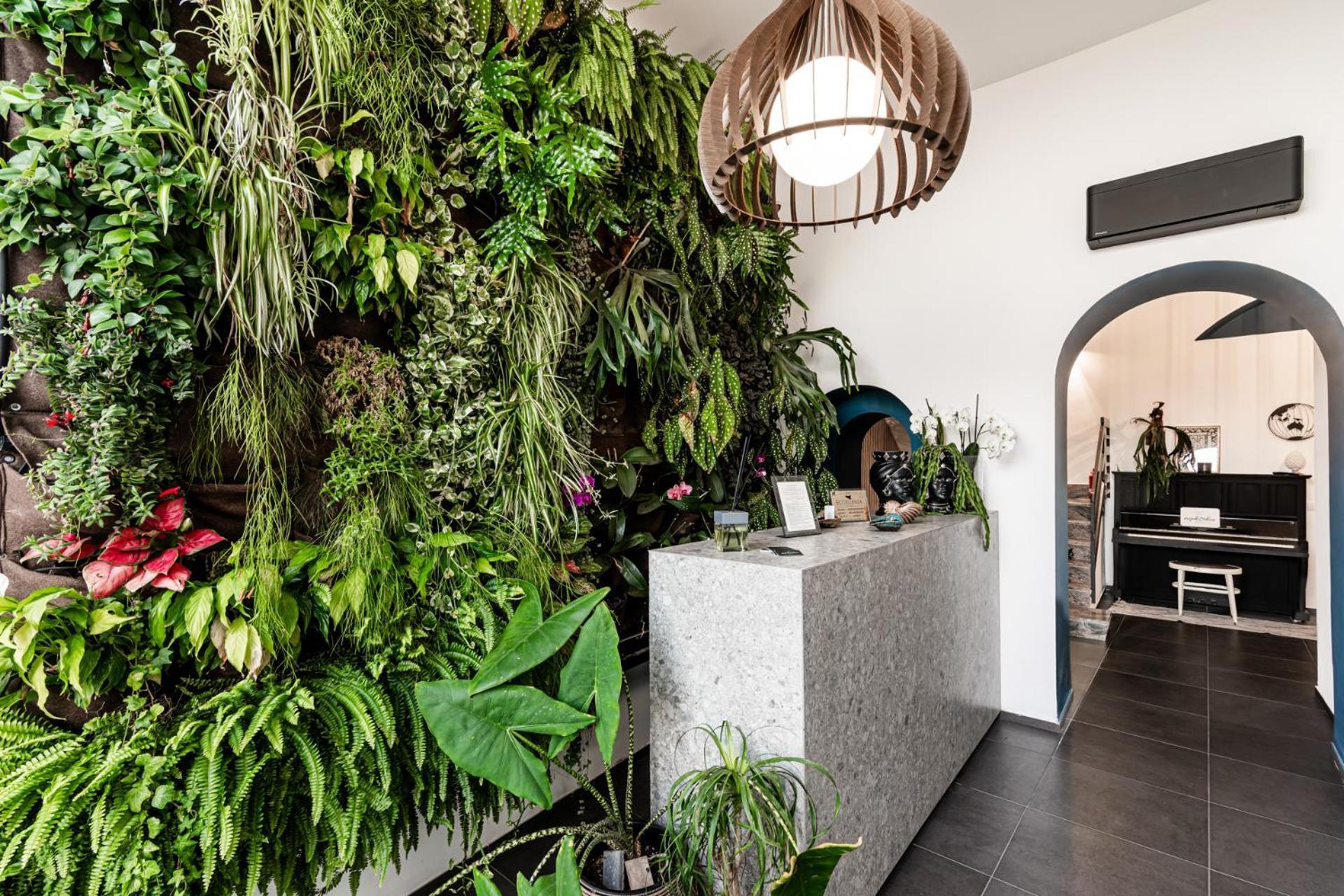 Luxury B&B Euphorbia Acireale Zewnętrze zdjęcie